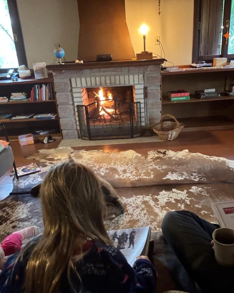 Sala de estar com a lareira acesa, crianças lendo no tapete e as estantes de livros.