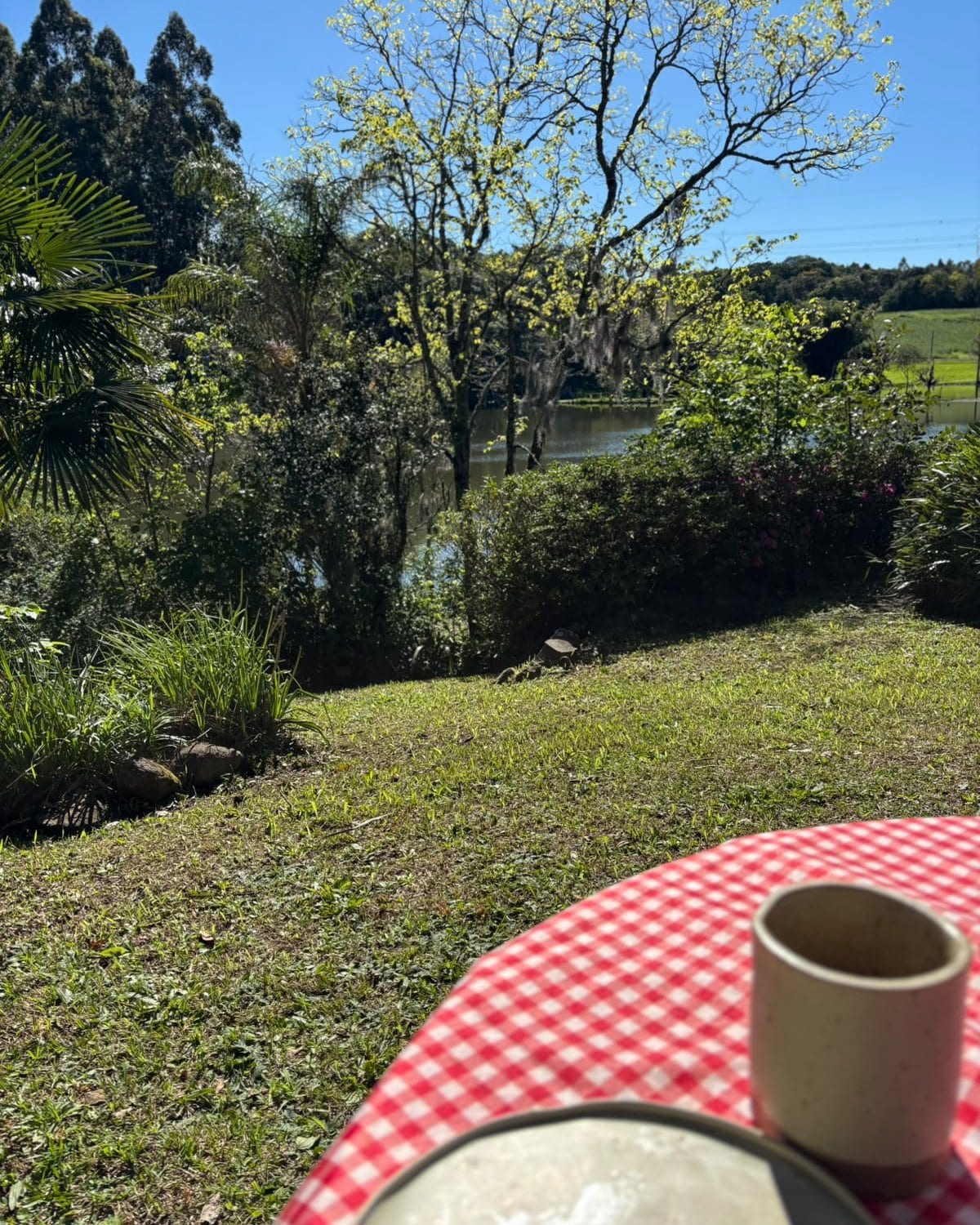 Mesa posta no jardim, com toalha xadrez vermelha e branca, e o lago ao fundo.