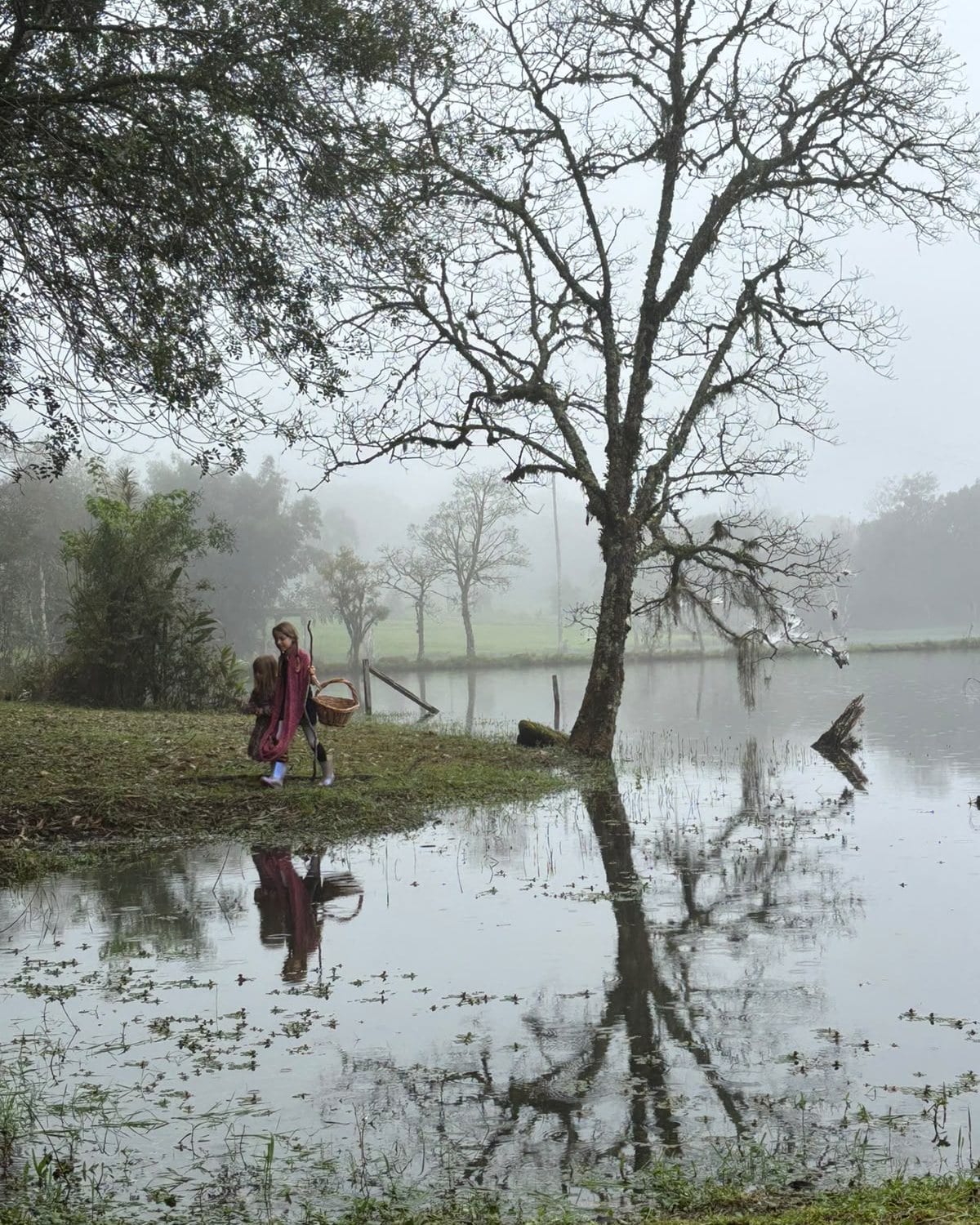 Criança caminhando à beira do lago na neblina, com a árvore refletida na água.